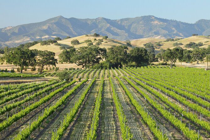 Self Guided Tour of Solvang and Santa Ynez Wine Country - The Practicalities: Logistics and Tips