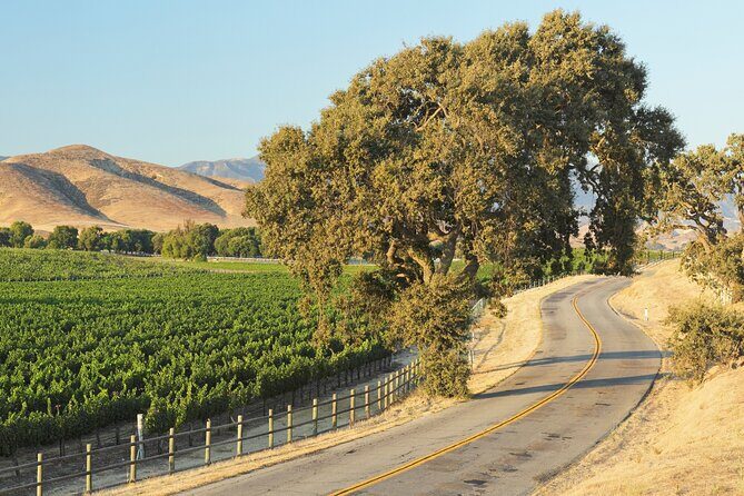 Self Guided Tour of Solvang and Santa Ynez Wine Country - Authentic Rider Insights from Reviews