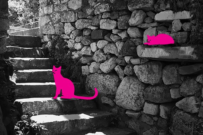 Self-Guided Virtual Tour of the Cats of Athens: Cats on the Prowl - Exploring the Streets and Alleyways of Athens