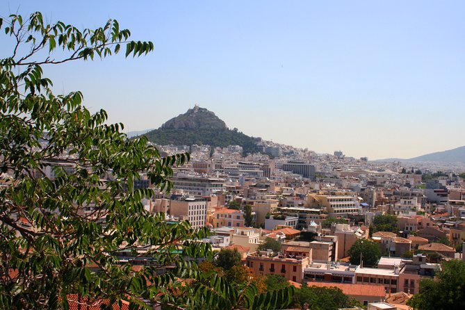 Self-Guided Virtual Tour of the Cats of Athens: Cats on the Prowl - Discovering Unique Cat Personalities and Behaviors