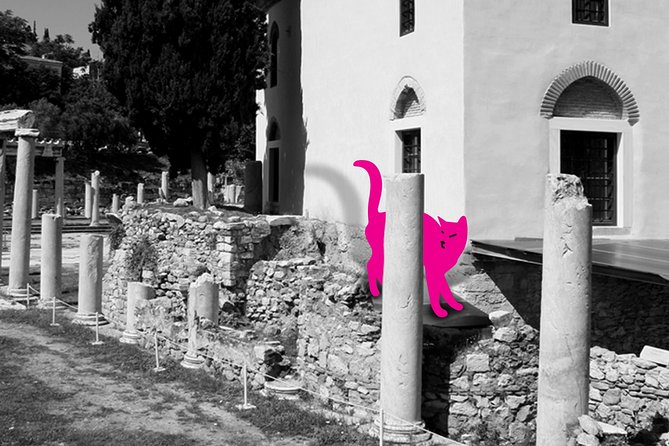 Self-Guided Virtual Tour of the Cats of Athens: Cats on the Prowl - Captivating Stories of Rescue and Care for Athens Cats