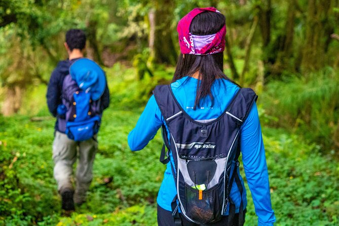 Self-Guided Walk in the Iral Cloud Forest Trails - Good To Know