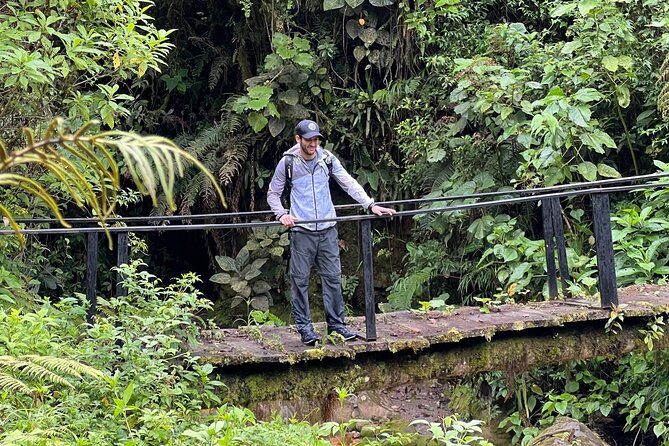 Self-Guided Walk in the Iral Cloud Forest Trails - Pickup Options and Start Time