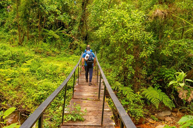 Self-Guided Walk in the Iral Cloud Forest Trails - Ticket Redemption and Maximum Participants