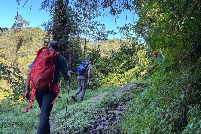 Self-Guided Walk in the Iral Cloud Forest Trails - Price and Additional Information