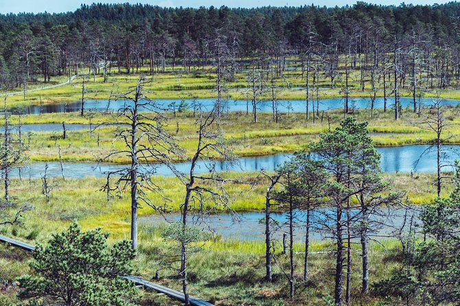Self Guided Walking in the Baltic States in 14 Days - Good To Know