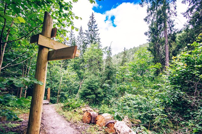 Self Guided Walking in the Baltic States in 14 Days - Accommodation and Transportation Details