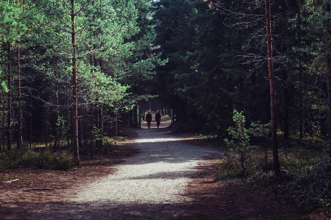 Self Guided Walking in the Baltic States in 14 Days - Additional Information Provided