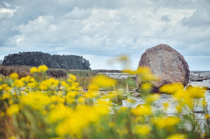 Self Guided Walking in the Baltic States in 14 Days - What to Expect on the Tour
