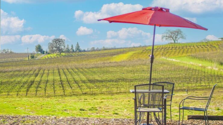 Self-Guided Wine Tasting Audio Tour - Calaveras County - Good To Know
