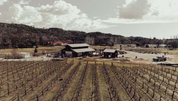 Self-Guided Wine Tasting Audio Tour - Calaveras County - Multimedia Wine Culture Content