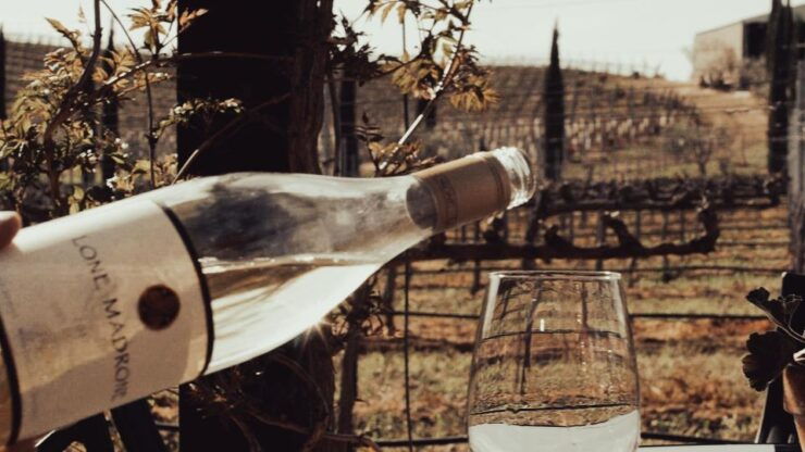 Self-Guided Wine Tasting Audio Tour - Paso Robles CA - Good To Know