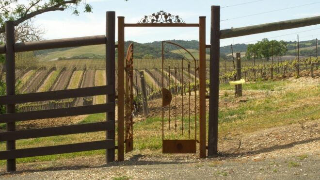 Self-Guided Wine Tasting Audio Tour - Paso Robles CA - Restrictions