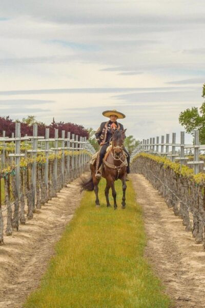 Self-Guided Wine Tasting Audio Tour - Paso Robles CA - Directions