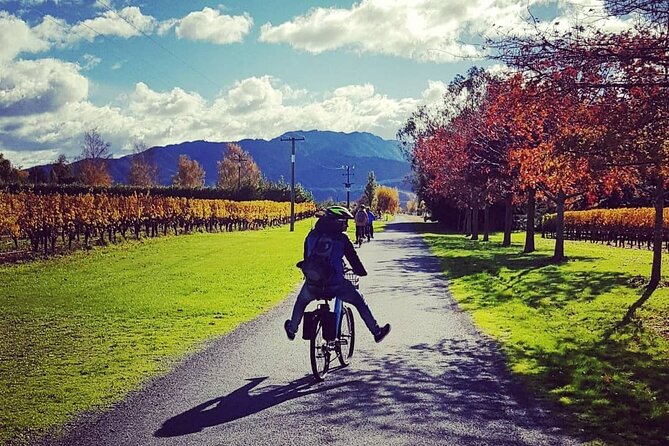 Self-Guided Wine Tours by Bike With Steve & Jo in Marlborough - Inclusions