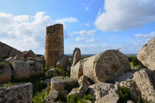 Selinunte: Archeological Park Entry Ticket and Pemcards - The Sum Up