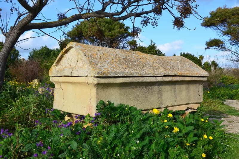 Selinunte: Archeological Park Entry Ticket & App Audioguide - The Value of the Tour: Price, Access, and Extras