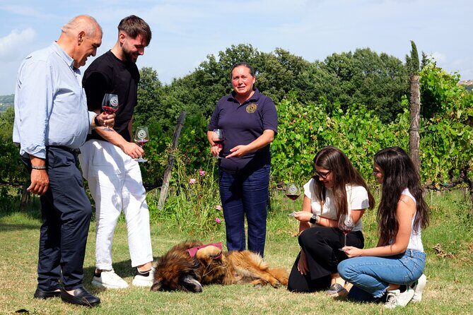 Sella delle Spine Taurasi: Tasting, Vineyard and Cellar Tour - Final Thoughts: Is This Tour Right for You?