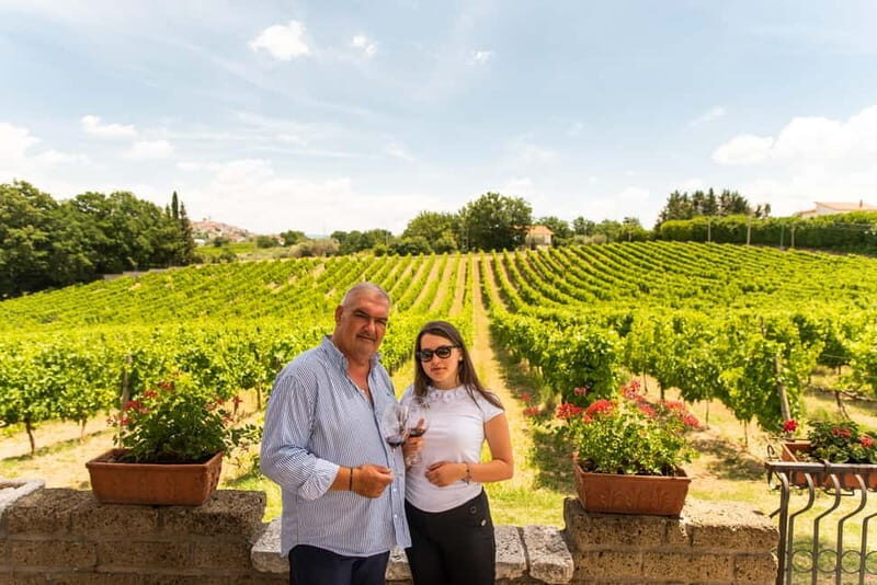 Sella delle Spine Taurasi: Tasting, Vineyard and Winery Tour - What Makes This Tour Valuable?