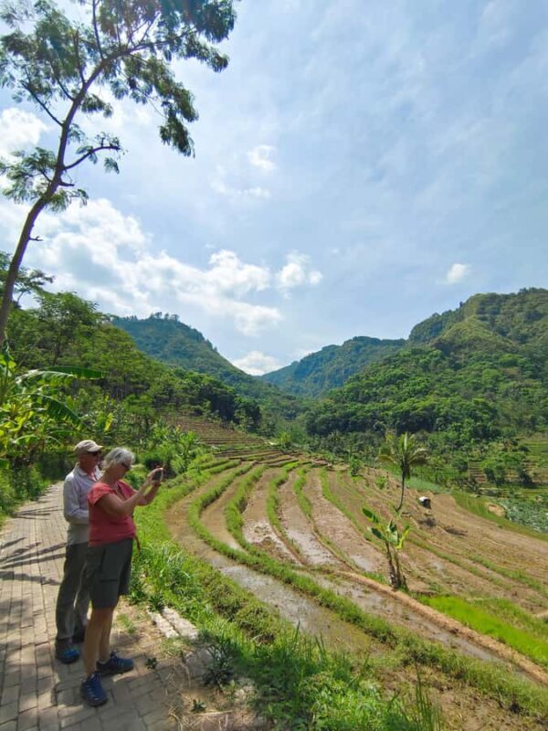 Selogriyo Temple and treking Java Rice Terrace and waterfall - The Itinerary Breakdown: What You Can Expect
