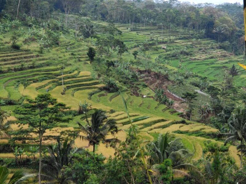 Selogriyo Temple and treking Java Rice Terrace and waterfall - Frequently Asked Questions