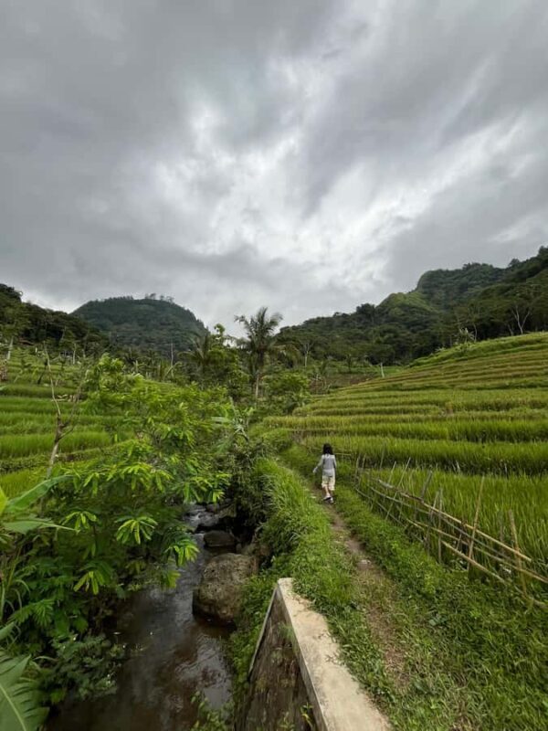 Selogriyo Temple Coffee Processing & Village Trekking Tour - Why This Tour Stands Out