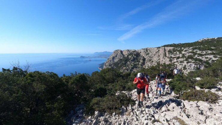 Selvaggio Blu: 5-Day Trekking on the Original Trail - Good To Know