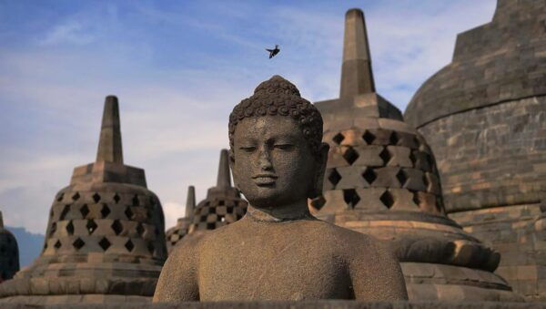Semarang: From Semarang Port to Borobudur - Booking and Cancellation Policy
