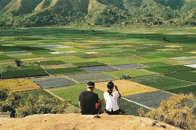 Sembalun, Selong Hill, and Mt. Rinjani View Private Day Trip  - Lombok - Itinerary Overview