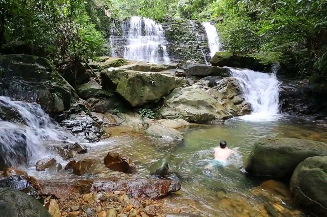 Semenggok Wildlife Centre - Price and Booking