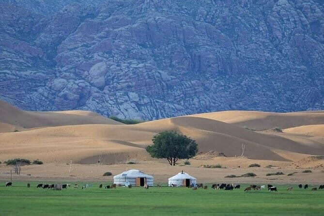 Semi-Gobi and Kharkhorum overnight private trip - The Itinerary: What You’ll Really Experience