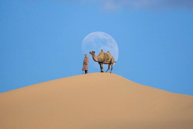 Semi-Gobi and Kharkhorum overnight private trip - The Sum Up