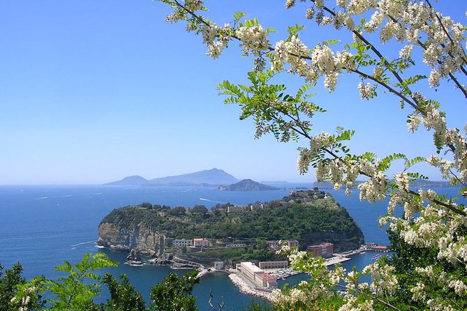 Semi Private Amalfi Coast Shore Excursion Experience - Pickup and Transportation Options