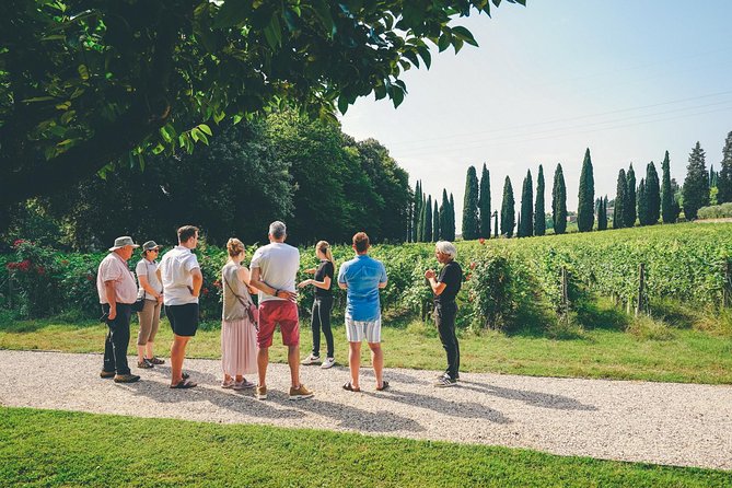 Semi-Private Amarone Wine-Tasting Tour From Verona - What to Expect