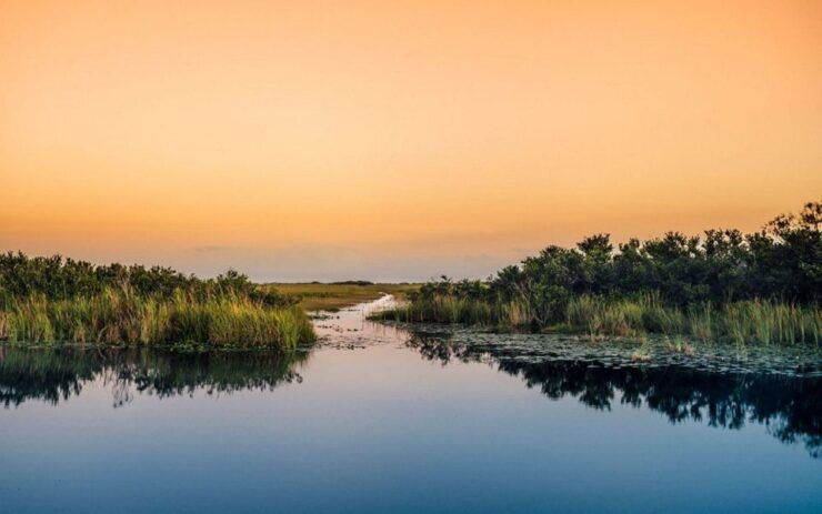 Semi-Private Everglades Tour From Miami or Fort Lauderdale - Good To Know