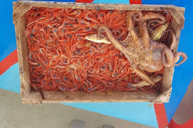 Semi - Private Fishing Tour (Transportation Included) - The Sum Up