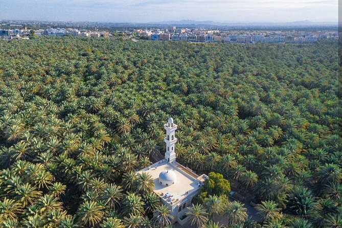 Semi-Private Full-Day Al Ain Cultural Tour From Dubai With Lunch - Booking and Pricing Details