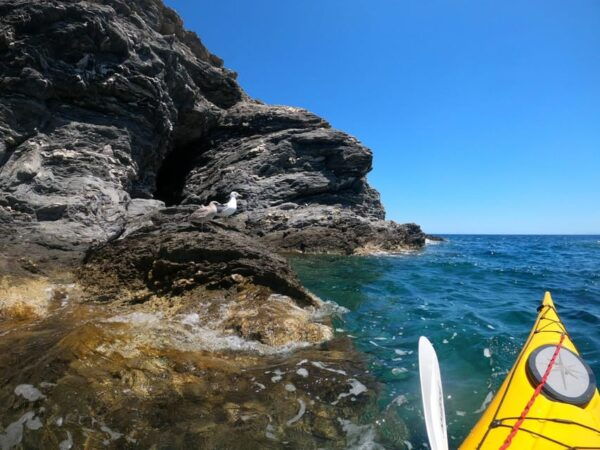 Semi-Private Half Day Kayaking Tours in Milos - What to Bring