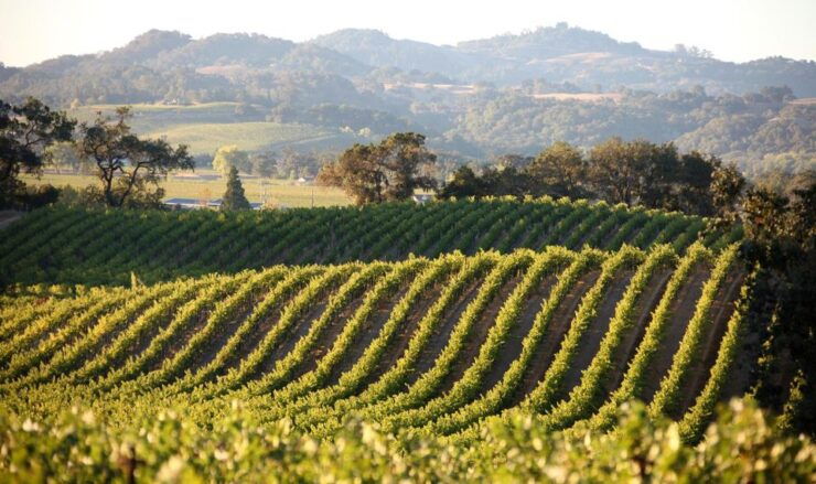 Semi Private Heraklion Valley Wine Tour With Lunch - Activity Details and Pickup Information