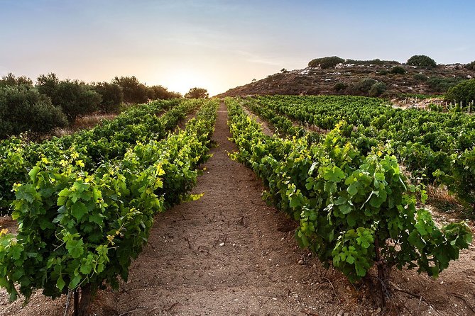 Semi Private Heraklion Valley Wine Tour With Transfer and Lunch - Tour Overview and Details