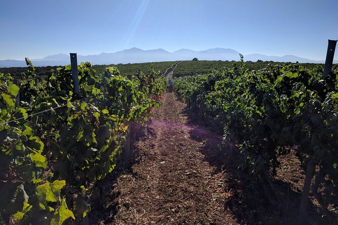 Semi Private Heraklion Valley Wine Tour With Transfer and Lunch - Common Questions