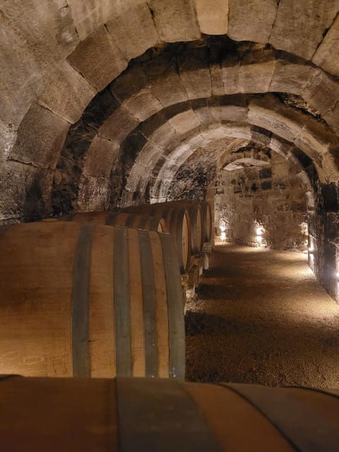 Semi-Private La Rioja Tour of 3 Premium Wineries From Bilbao - Medieval Village Exploration