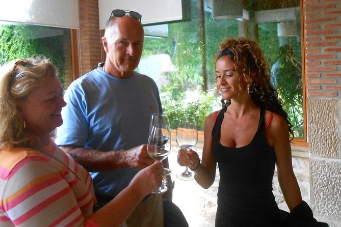 Semi-Private La Rioja Tour of 3 Premium Wineries From Bilbao - Additional Information