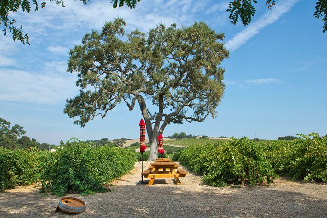 Semi-Private, Modified Hop-On Hop-Off Wine Tasting Tour From Morro and Cayucos - Pricing and Booking Details