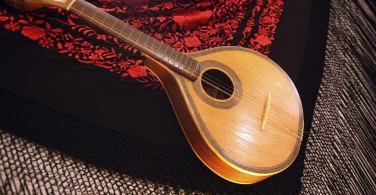 Semi Private Oporto Fado Show With Dinner - Experience Highlights