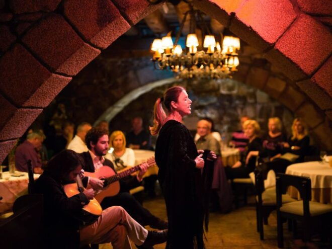 Semi Private Oporto Fado Show With Dinner - Itinerary