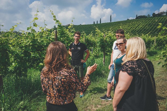 Semi-Private Prosecco Wine Tour From Venice - Wineries, Wines, and Prosecco Culture