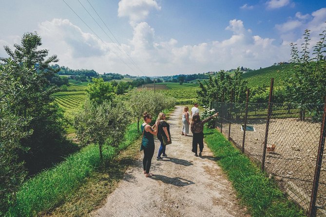 Semi-Private Prosecco Wine Tour From Venice - The Sum Up