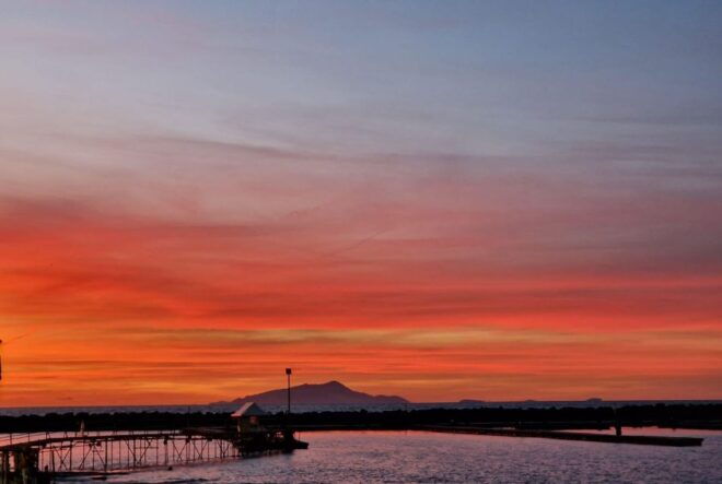 Semi Private Sorrento Sunset Cruise Experience - Frequently Asked Questions