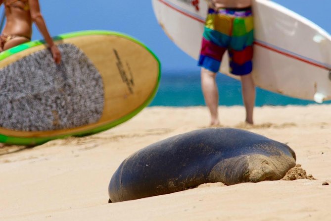 Semi-Private Surf Lesson - Traveler Reviews